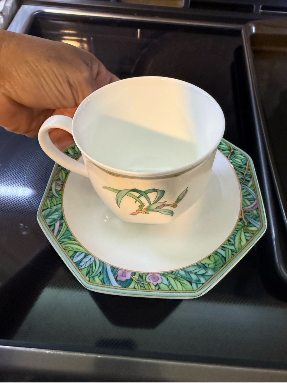 Villeroy & Boch White Teacup and Saucer with Green Botanical Trim